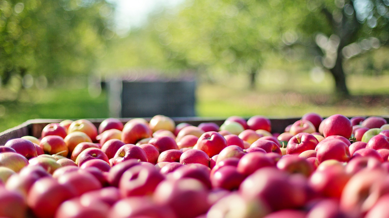 nhung-loi-ich-bat-ngo-cua-tao-mat-doi-voi-suc-khoe-nguoi-dung 3.png