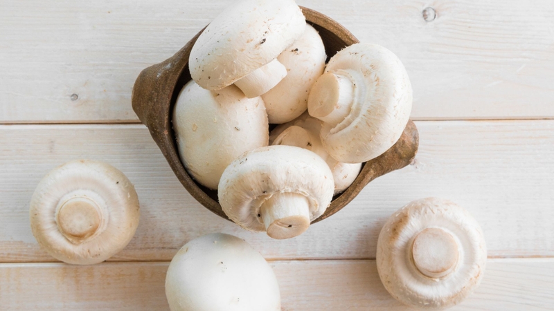 Những lợi ích chưa biết của nấm mỡ trắng với sức khỏe 2