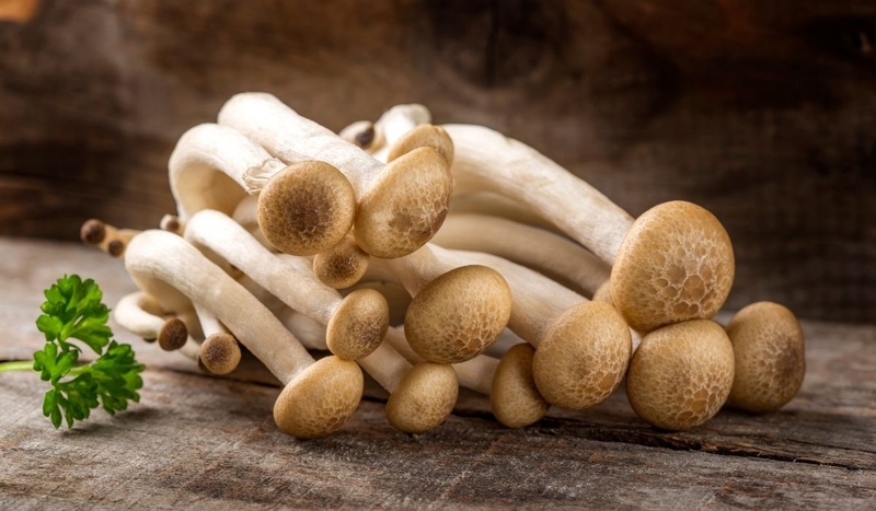 Những lợi ích của nấm hải sản với sức khỏe 3