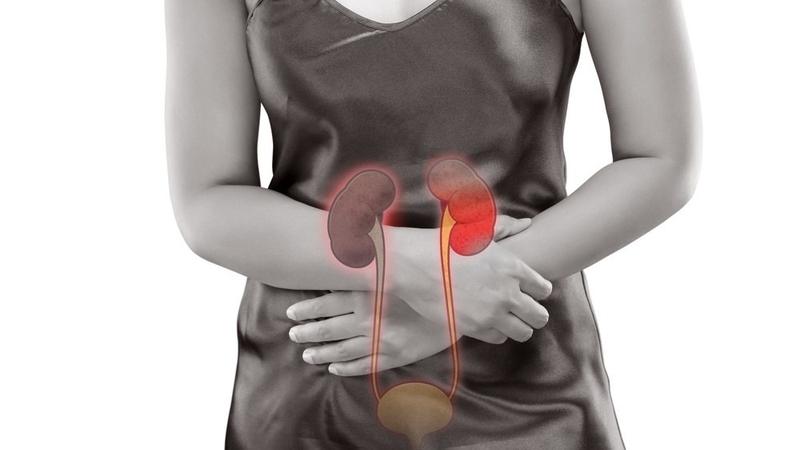 Những lợi ích đáng ngạc nhiên đối với sức khoẻ của trà dưa lưới 4