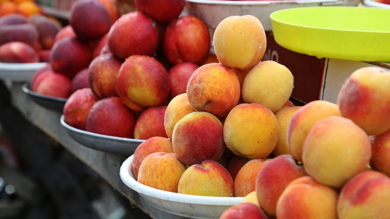 Những lợi ích sức khỏe tuyệt vời của đào lông không phải ai cũng biết 2