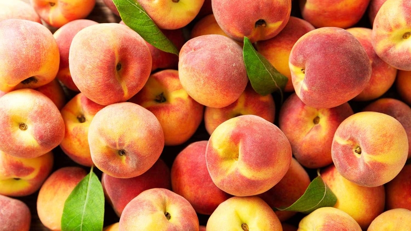 Những lợi ích sức khỏe tuyệt vời của đào lông không phải ai cũng biết 4