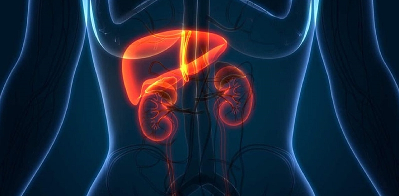 nhung-loi-ich-tuyet-voi-khi-uong-tra-xanh-vao-buoi-sang 3.jpg