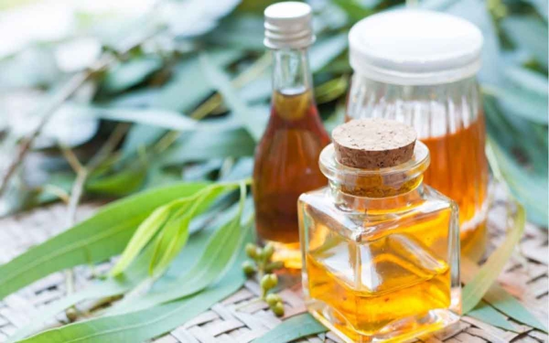 Lạm dụng hay sử dụng dầu khuynh diệp không đúng cách sẽ gây nguy hại đến trẻ