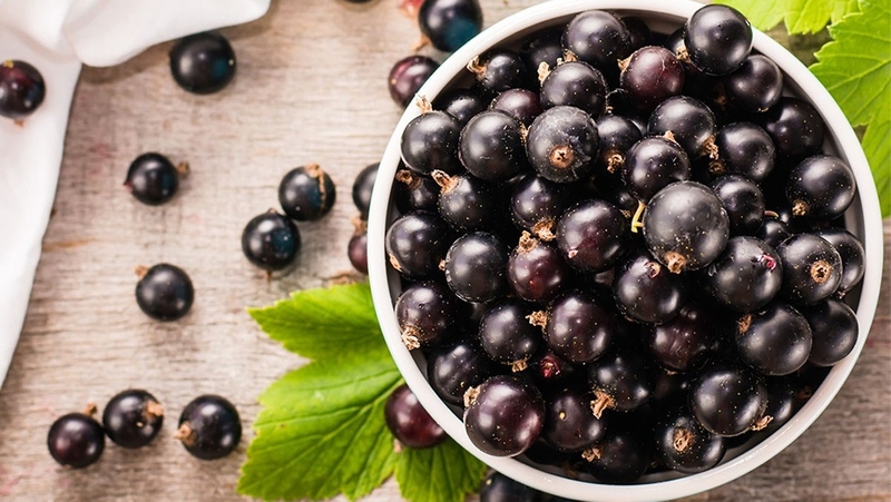 Những món ăn gây ngộ độc chết người cần tránh 5