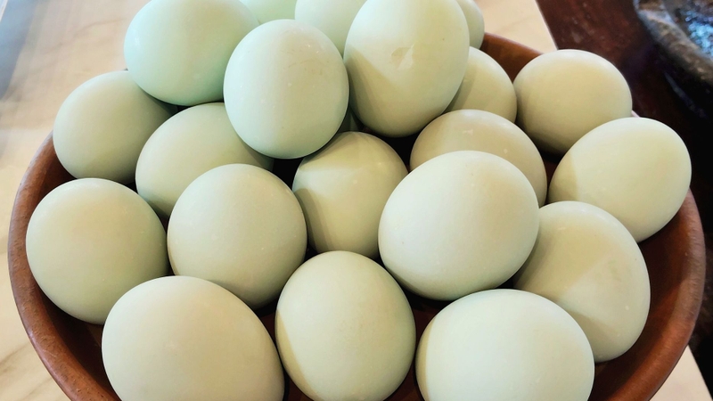 Những người không nên ăn trứng vịt lộn là ai?