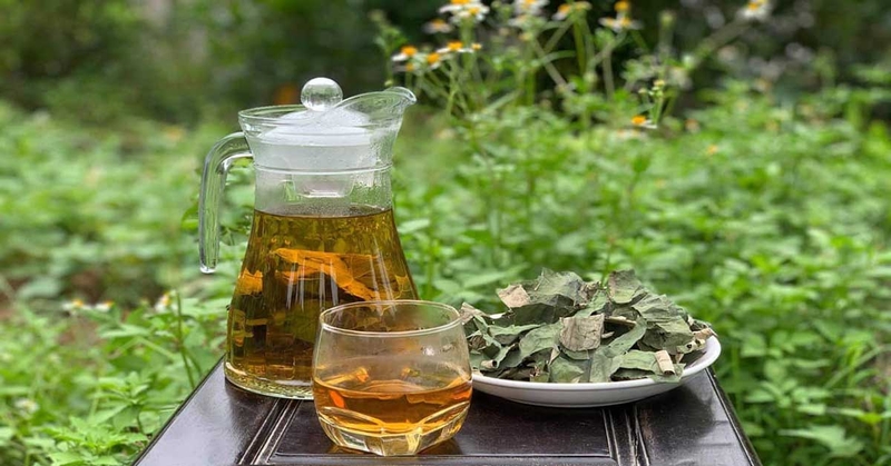 những người không nên uống nước lá sen2