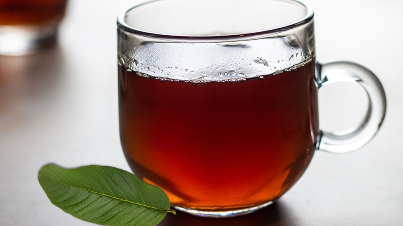 Những người sau nên uống nước lá ổi thường xuyên 1