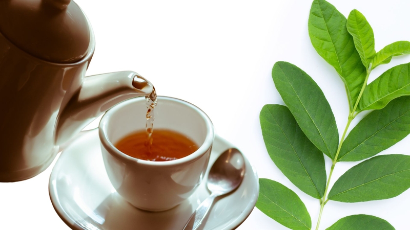 Những người sau nên uống nước lá ổi thường xuyên 2