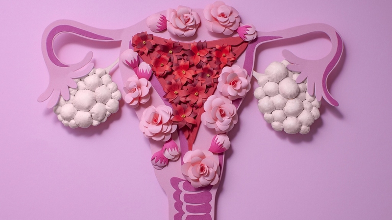 Những nguyên nhân gây vô sinh ở nữ giới: Hiểu rõ để tìm giải pháp hiệu quả 2