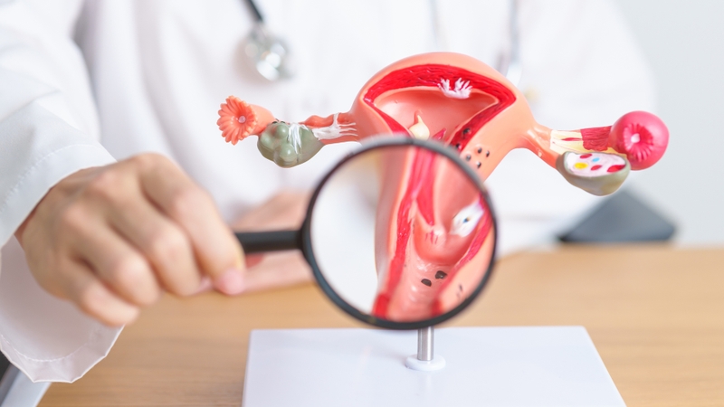 Những nguyên nhân khó thụ thai ở phụ nữ thường gặp nhất 2