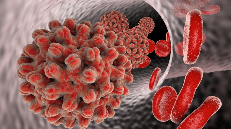 Những nguyên nhân nào khiến chỉ số GGT tăng cao? 2