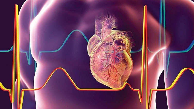Những phương pháp đánh giá mức độ thiếu máu dựa trên triệu chứng và xét nghiệm 1