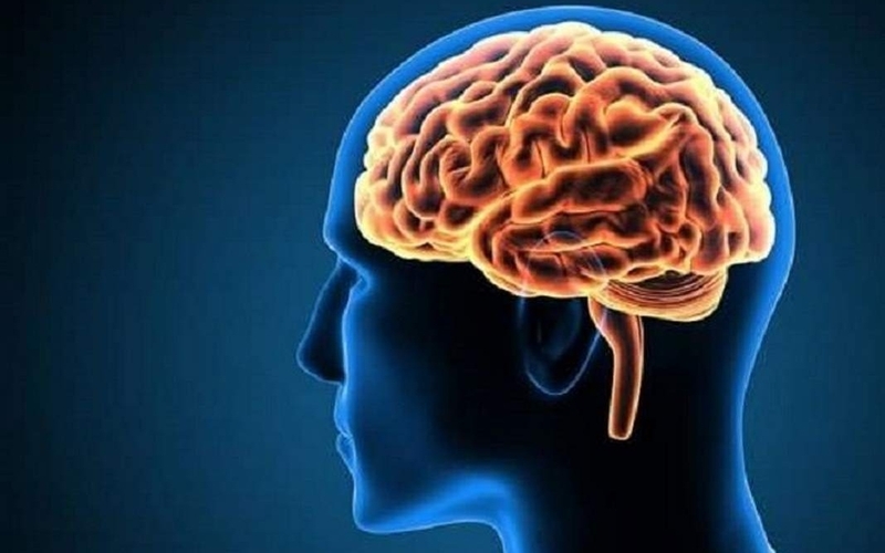 Hoạt huyết chỉ có tác dụng bổ trợ cho não bộ, không có tác dụng tăng cường trí nhớ tức thì