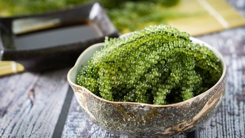 Tác dụng của rong nho đối với sức khỏe 4