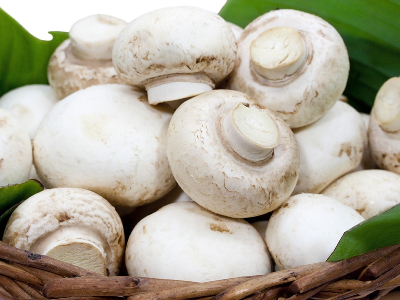 Những tác dụng thần kỳ của nấm đối với sức khỏe 5