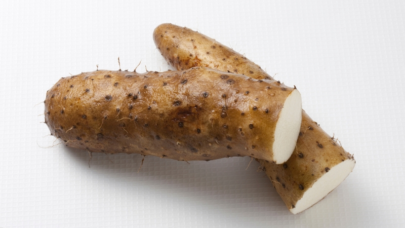 Những tác dụng tuyệt vời từ khoai từ có thể bạn chưa biết 2