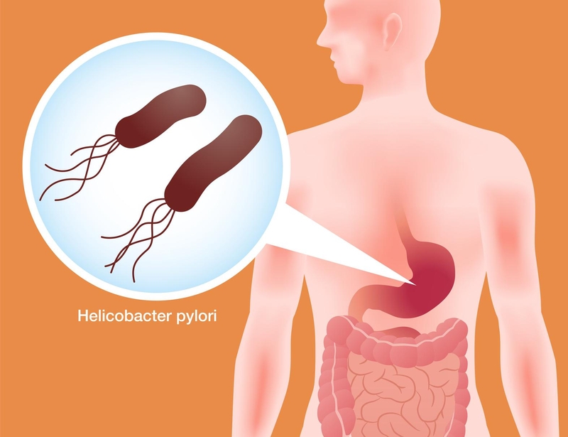 nhung-tac-hai-cua-vi-sinh-vat-doi-voi-con-nguoi-va-mot-so-thong-tin-can-biet 3.jpg