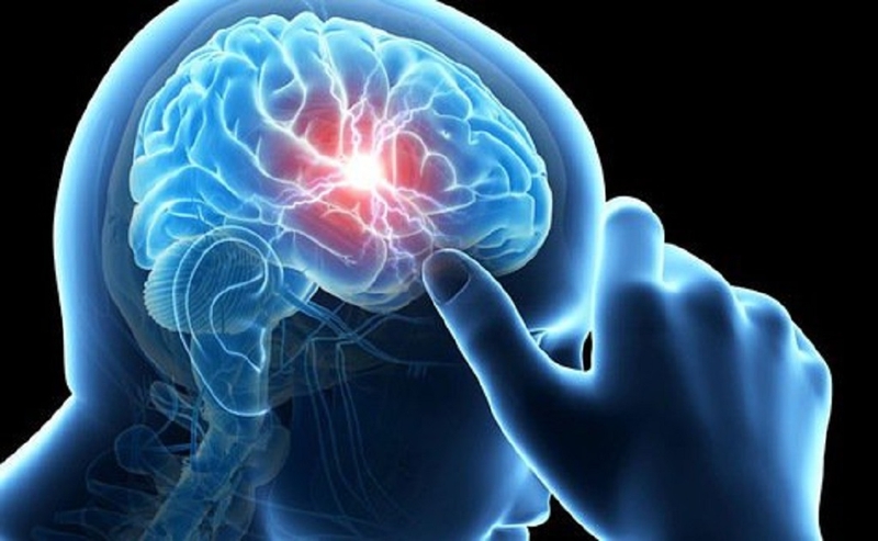 Những thông tin cần biết về chất dẫn truyền thần kinh tế bào não 1