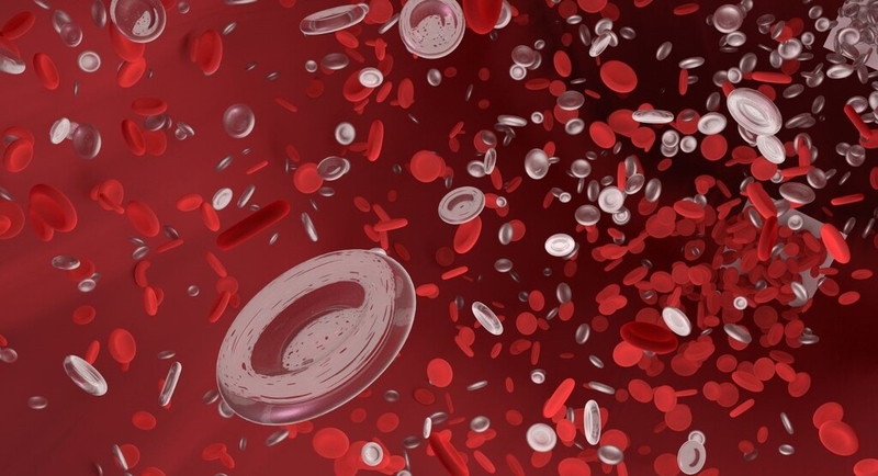 Những thông tin cơ bản về sơ đồ đông máu và các yếu tố đông máu 1