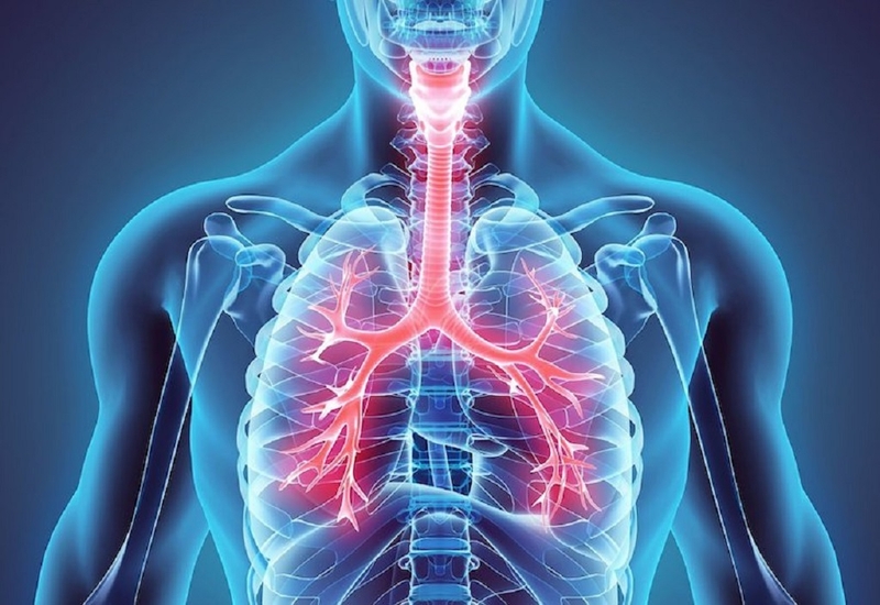 Những thông tin quan trọng bạn cần phải biết về tĩnh mạch phế quản 1