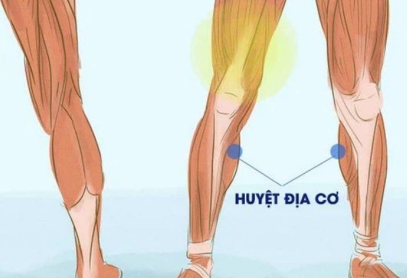 Những thông tin từ A đến Z về huyệt địa cơ 1