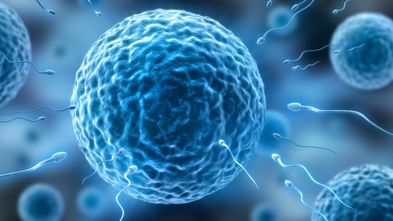 Quá trình sinh sản chịu ảnh hưởng của nhiều yếu tố 1