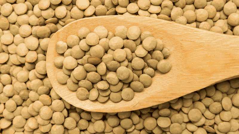 Những thực phẩm giàu protein hơn cả trứng 3