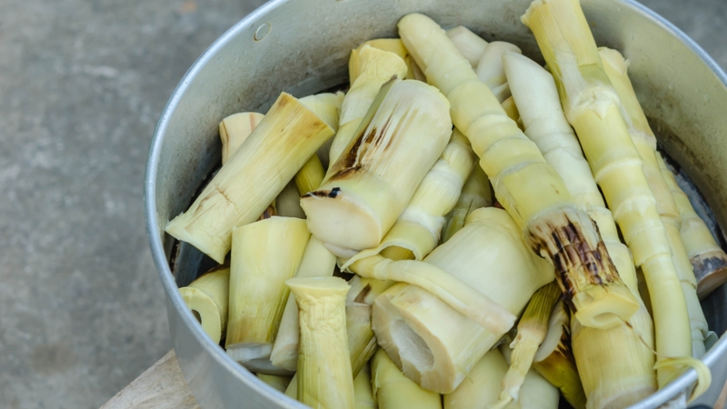 Thực phẩm tự nhiên chứa xyanua 3