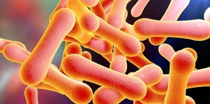 Những thuốc điều trị bệnh bạch hầu: Cách sử dụng và phòng bệnh 2