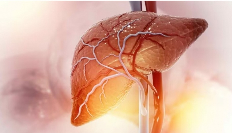 nhung-trieu-chung-va-nguyen-nhan-gay-u-gan-ac-tinh-la-gi 2.jpg