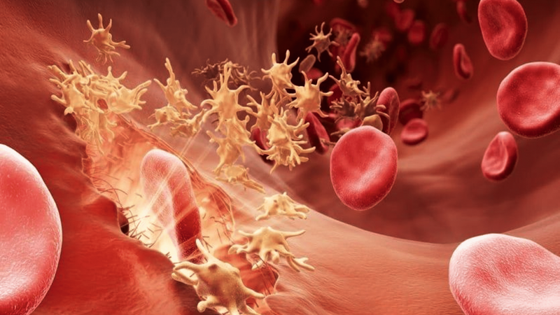 Những trường hợp không được nâng mũi bạn cần biết 2