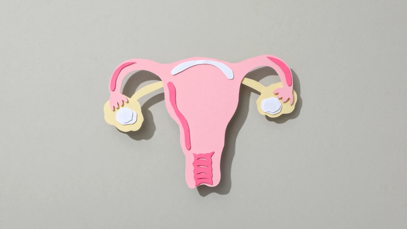 Niêm mạc tử cung dày 12mm có thai không là băn khoăn của nhiều cặp vợ chồng