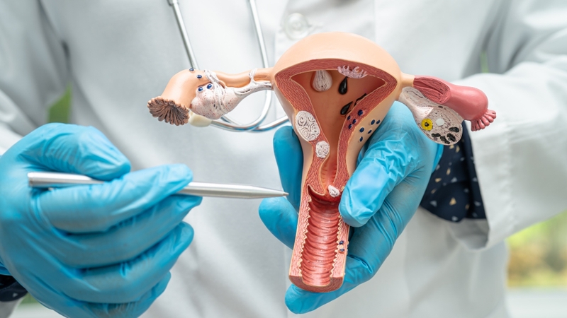 Niêm mạc tử cung quá mỏng có thể ảnh hưởng đến khả năng thụ thai