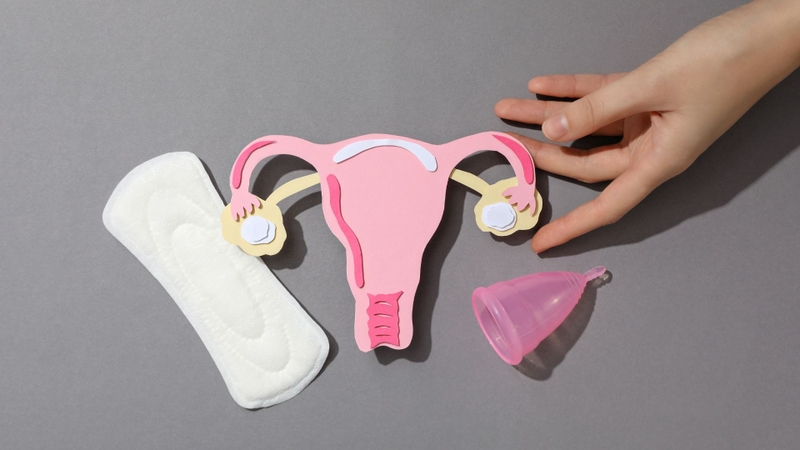 Độ dày niêm mạc tử cung gần ngày kinh nguyệt thường khoảng 12 - 16 mm