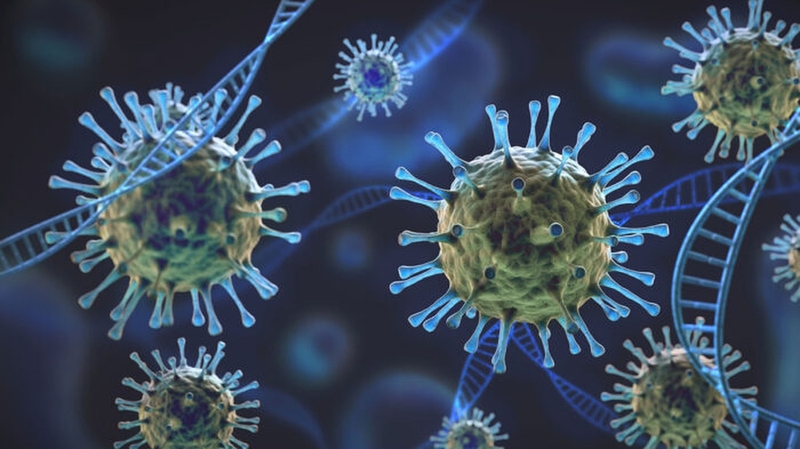 noi-hach-toan-than-nguyen-nhan-do-dau-can-lam-gi-khi-noi-hach-toan-than 2