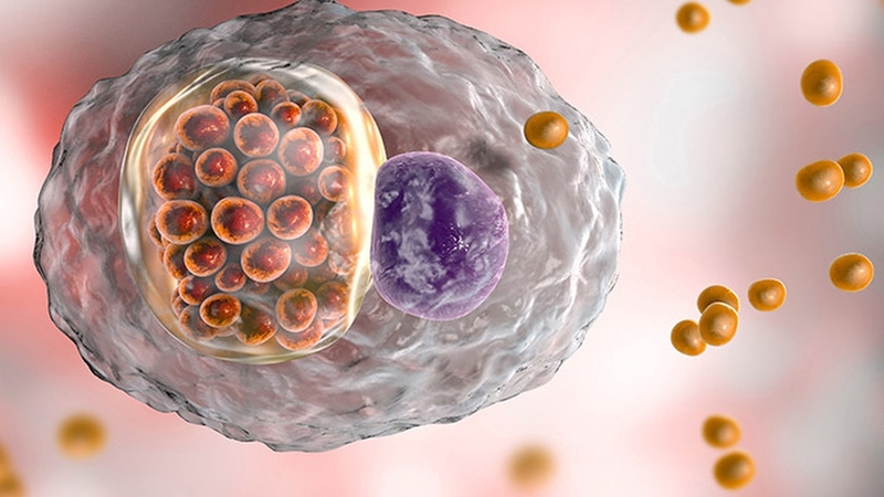 Nổi mụn ở môi lớn vùng kín: Nguyên nhân và cách điều trị hiệu quả 1