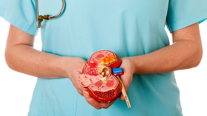 Nội soi tán sỏi ngược dòng bằng ống mềm 1