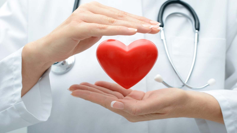 Nội tạng mực ăn được không? Một số món ăn từ nội tạng mực 2