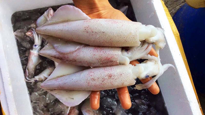 Nội tạng mực ăn được không? Một số món ăn từ nội tạng mực 4