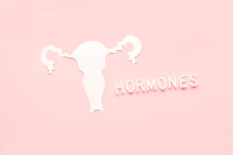 Nội tiết tố là gì? Tác động của nội tiết tố đối với cơ thể 1