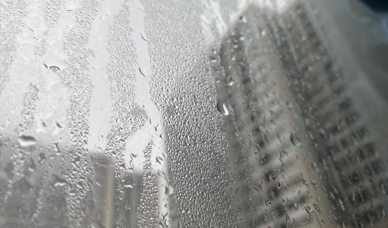 Nồm ẩm nghĩa là gì và những thông tin cần biết về hiện tương này 1