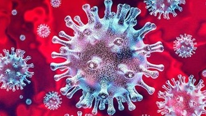 Chỉ số CT Covid có ý nghĩa gì? Nồng độ virus Covid bao nhiêu là cao? 2