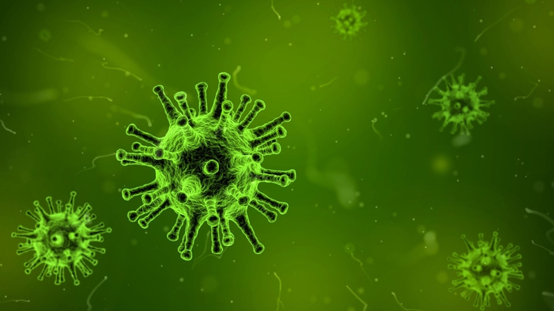 Norovirus là virus rất dễ lây, gây viêm dạ dày - ruột cấp