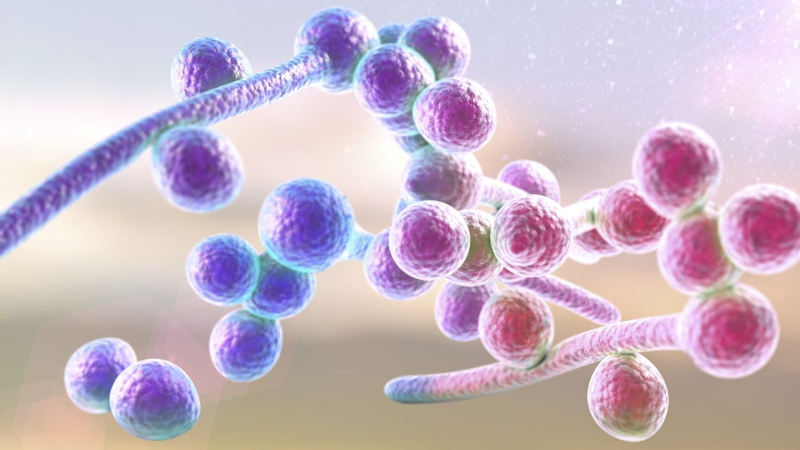 Nhiễm trùng ối là gì? Các dấu hiệu nhận biết và biến chứng nguy hiểm của nhiễm trùng ối 5