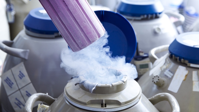 Nữ chuyển giới thành nam có tinh trùng không? Giải đáp thắc mắc 3