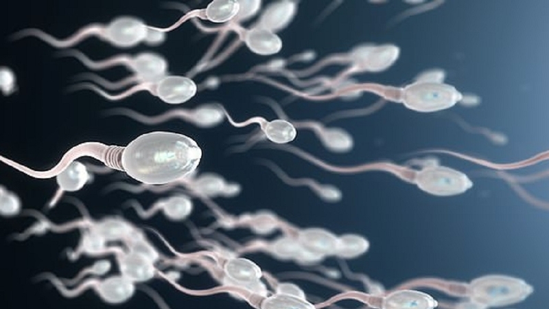 Nữ chuyển giới thành nam có tinh trùng không? Giải đáp thắc mắc 4