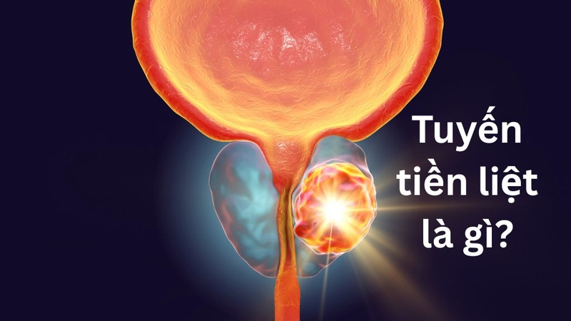 nu-gioi-co-tuyen-tien-liet-khong-cau-tra-loi-tu-chuyen-gia 1