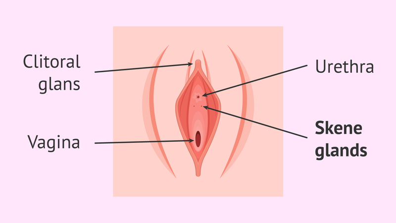nu-gioi-co-tuyen-tien-liet-khong-cau-tra-loi-tu-chuyen-gia 2