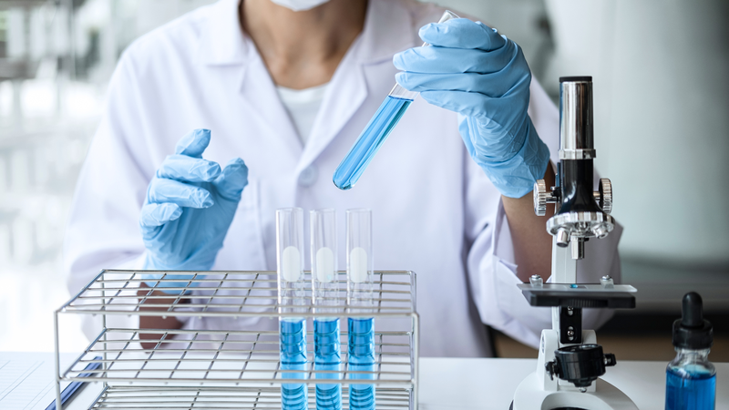 Nước bọt của muỗi có thể giúp phát triển liệu pháp điều trị bệnh do vi-rút Arbo 2